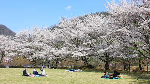 大野ダム公園