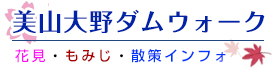 大野ダムウォーク