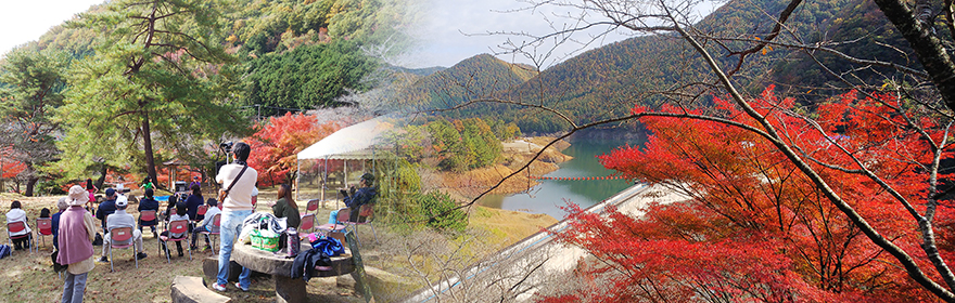 大野ダム公園紅葉