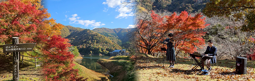 大野ダム公園紅葉