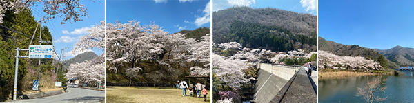 大野ダム公園