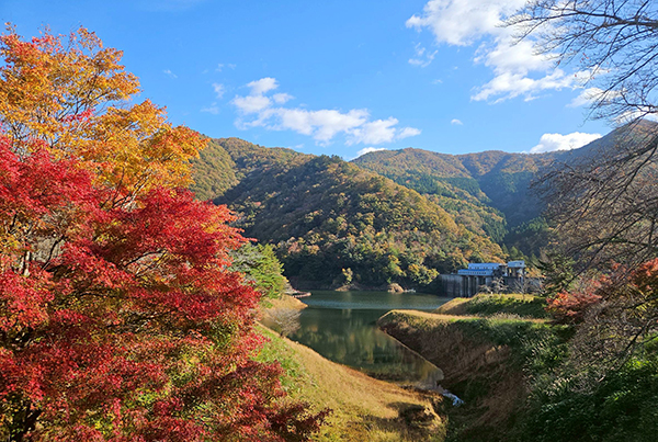 大野ダム公園紅葉