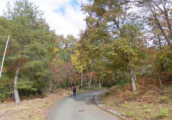 遊歩道