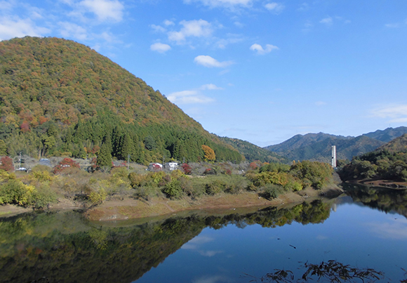 遊歩道から見える景色