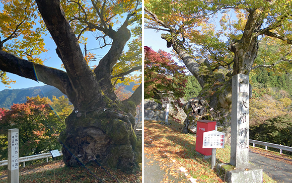 大原神社