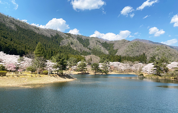 湖畔からの景色