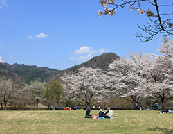 ふれあい広場