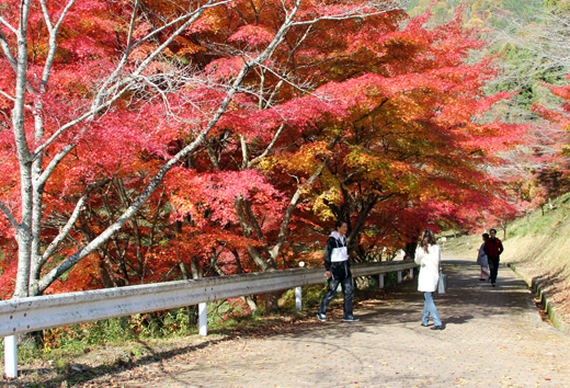 紅葉祭り