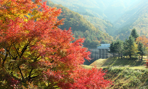 紅葉祭り